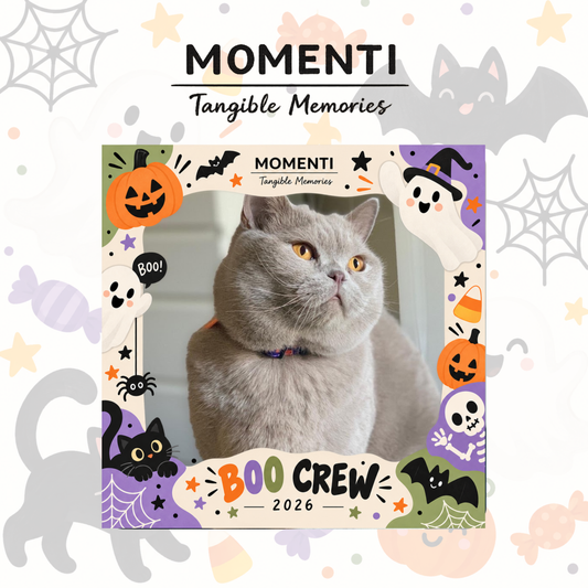 Tu Momenti de Halloween (6 uds)